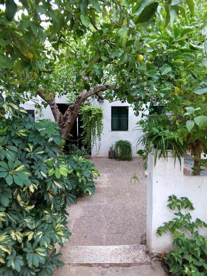 Las Jimenas Higuera De La Sierra (Huelva) Exterior foto